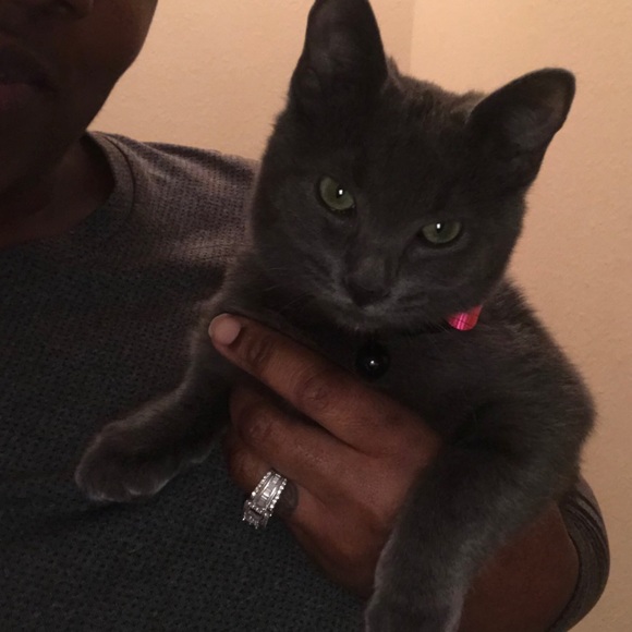 Meet your Posher, Jamila - Picture 2 of 2